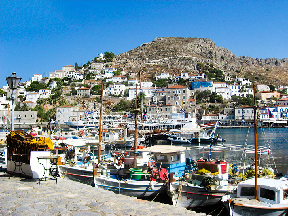 アニマルスケッチ サンプル9